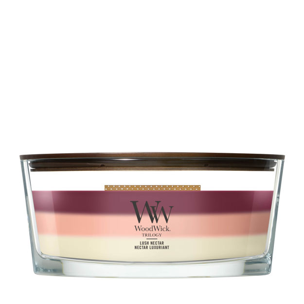 Afbeeldingen van Trilogy Lush Nectar Ellipse Geurkaars