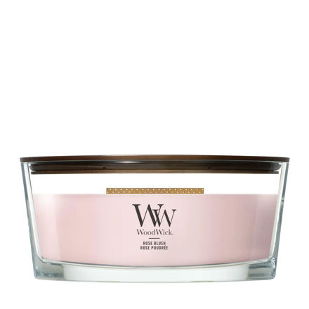Afbeeldingen van Rose Blush Ellipse Geurkaars